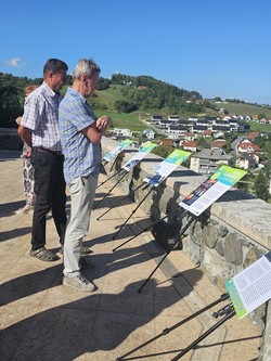 Razstava Gospel v Šentjurju – fotografija 4