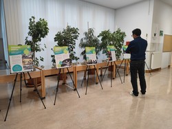 Razstava Gospel po Sloveniji – fotografija 5